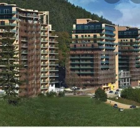 Tampa Gardens Apartment 브라쇼브 외부 사진