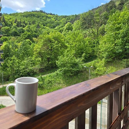 Tampa Gardens Apartment 브라쇼브 외부 사진