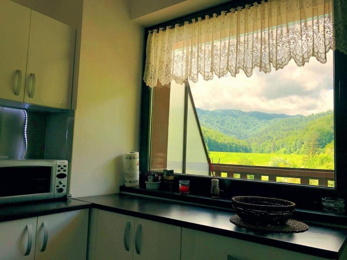 Tampa Gardens Apartment 브라쇼브 외부 사진