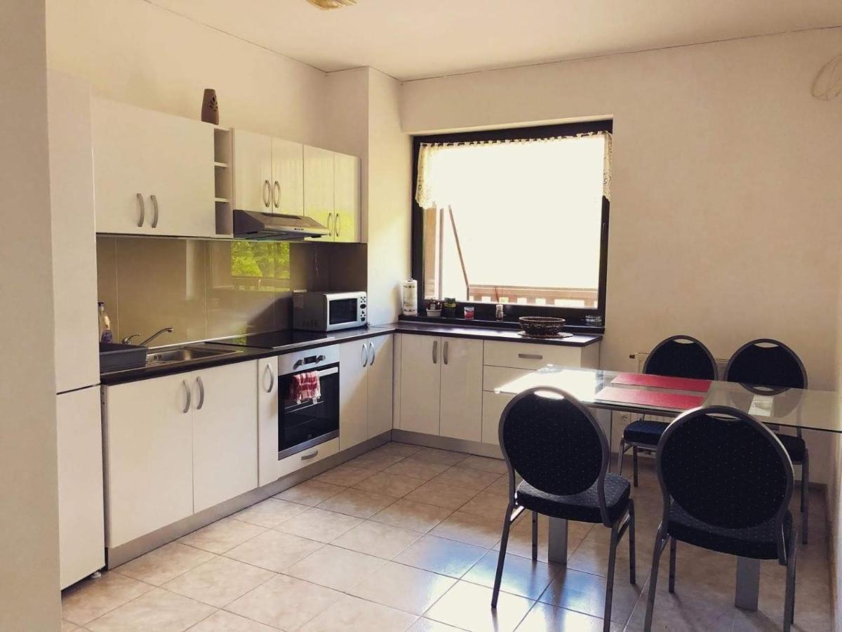 Tampa Gardens Apartment 브라쇼브 외부 사진