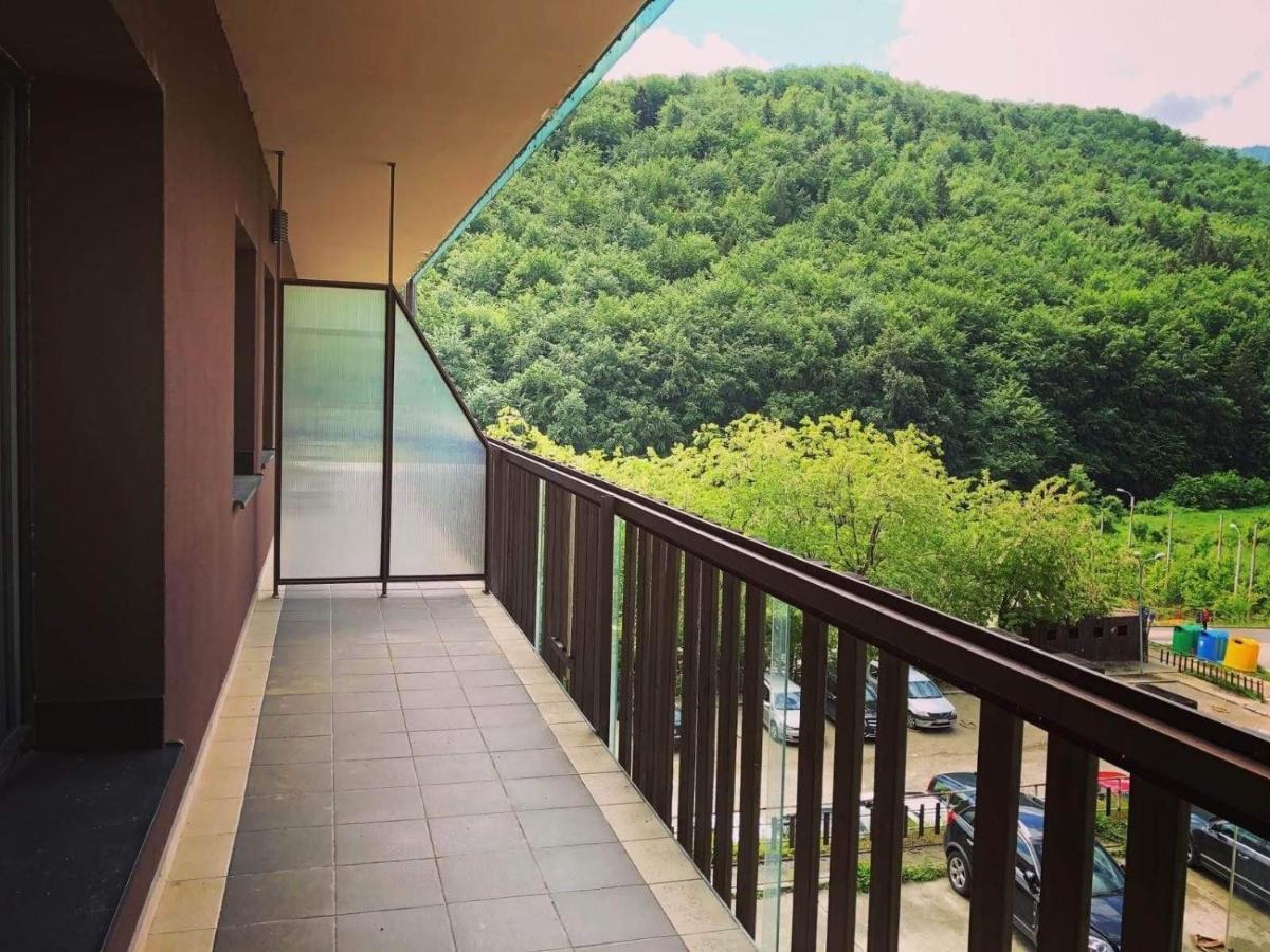 Tampa Gardens Apartment 브라쇼브 외부 사진