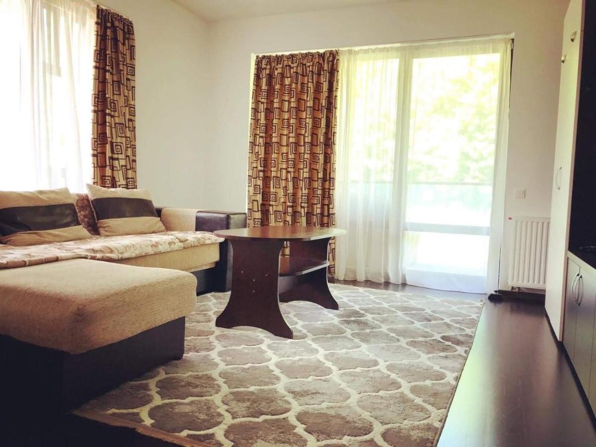 Tampa Gardens Apartment 브라쇼브 외부 사진