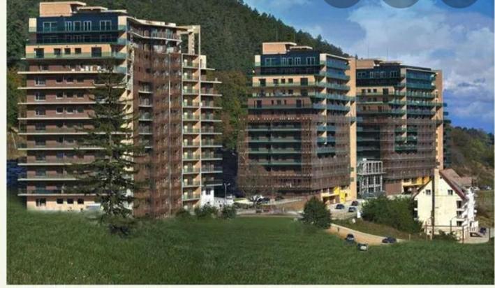 Tampa Gardens Apartment 브라쇼브 외부 사진